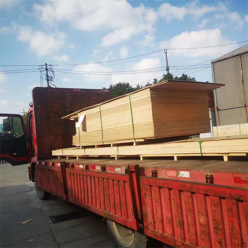 福建三明将乐县至塔城货运专线，一站式物流服务助您成功